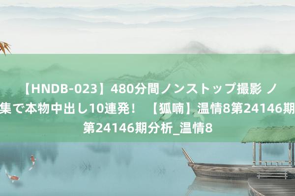 【HNDB-023】480分間ノンストップ撮影 ノーカット編集で本物中出し10連発！ 【狐喃】温情8第24146期分析_温情8