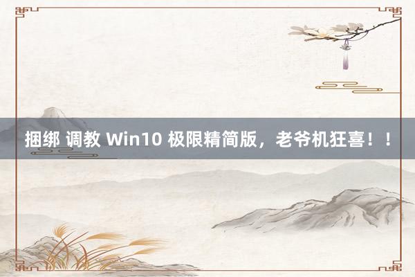 捆绑 调教 Win10 极限精简版，老爷机狂喜！！