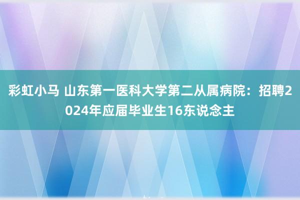 彩虹小马 山东第一医科大学第二从属病院：招聘2024年应届毕业生16东说念主