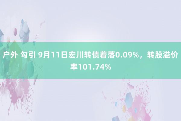 户外 勾引 9月11日宏川转债着落0.09%，转股溢价率101.74%