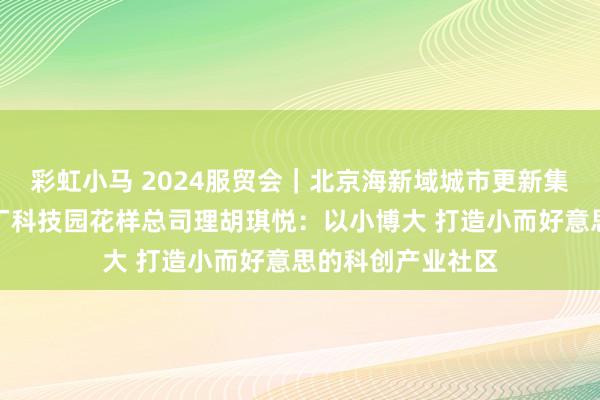 彩虹小马 2024服贸会｜北京海新域城市更新集团北京卫星制造厂科技园花样总司理胡琪悦：以小博大 打造小而好意思的科创产业社区