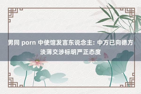 男同 porn 中使馆发言东说念主: 中方已向德方淡薄交涉标明严正态度