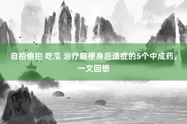 自拍偷拍 吃瓜 治疗脑梗身后遗症的5个中成药，一文回想