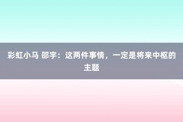 彩虹小马 邵宇：这两件事情，一定是将来中枢的主题