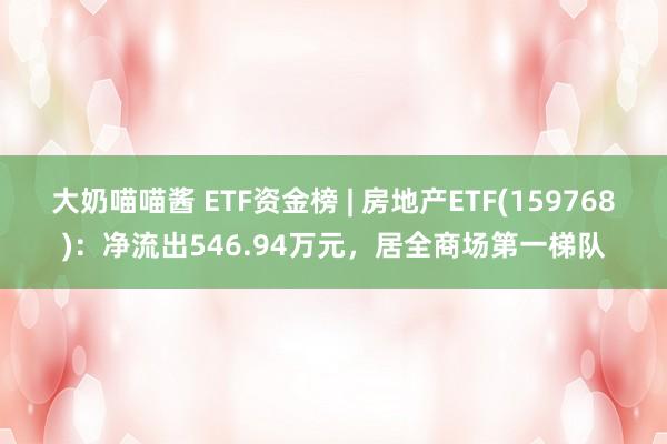 大奶喵喵酱 ETF资金榜 | 房地产ETF(159768)：净流出546.94万元，居全商场第一梯队