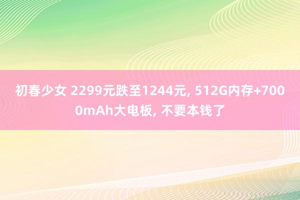 初春少女 2299元跌至1244元， 512G内存+7000mAh大电板， 不要本钱了