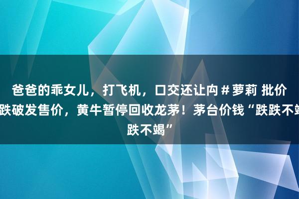 爸爸的乖女儿，打飞机，口交还让禸＃萝莉 批价已跌破发售价，黄牛暂停回收龙茅！茅台价钱“跌跌不竭”