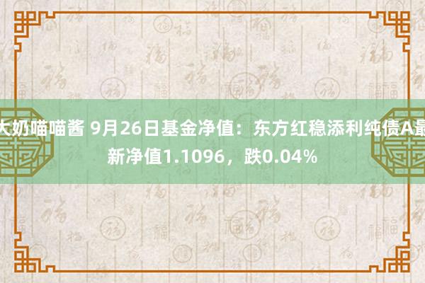 大奶喵喵酱 9月26日基金净值：东方红稳添利纯债A最新净值1.1096，跌0.04%