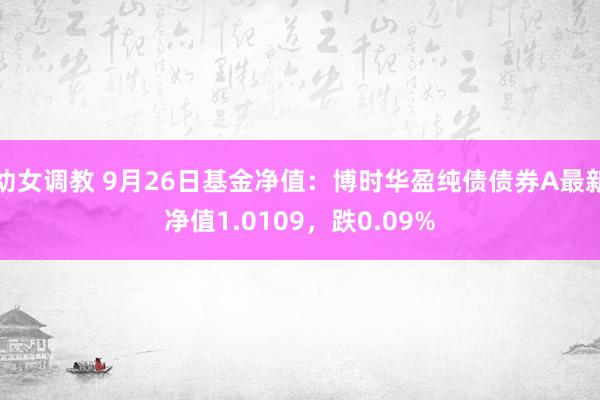 幼女调教 9月26日基金净值：博时华盈纯债债券A最新净值1.0109，跌0.09%