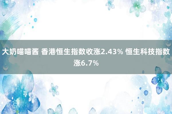 大奶喵喵酱 香港恒生指数收涨2.43% 恒生科技指数涨6.7%