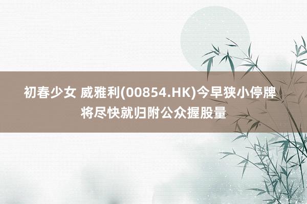 初春少女 威雅利(00854.HK)今早狭小停牌  将尽快就归附公众握股量