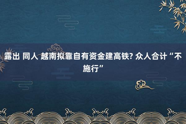 露出 同人 越南拟靠自有资金建高铁? 众人合计“不施行”