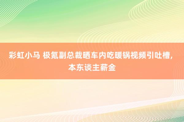 彩虹小马 极氪副总裁晒车内吃暖锅视频引吐槽， 本东谈主薪金