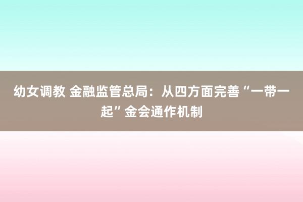 幼女调教 金融监管总局：从四方面完善“一带一起”金会通作机制