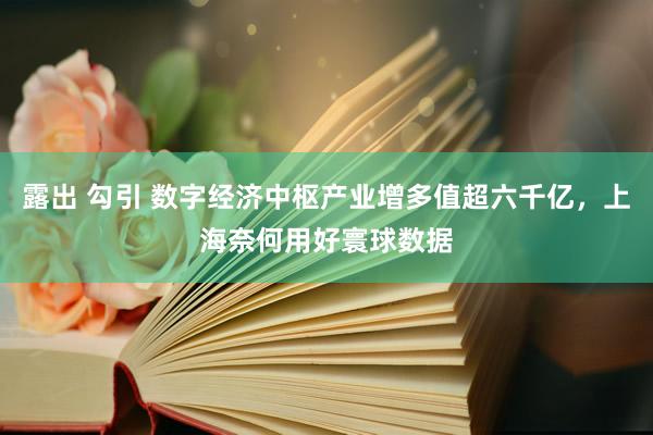 露出 勾引 数字经济中枢产业增多值超六千亿，上海奈何用好寰球数据