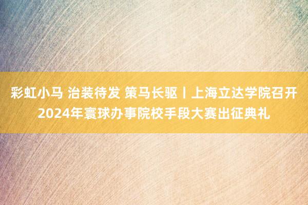 彩虹小马 治装待发 策马长驱丨上海立达学院召开2024年寰球办事院校手段大赛出征典礼