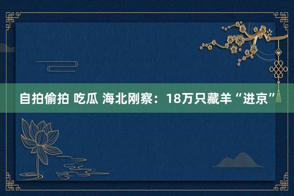 自拍偷拍 吃瓜 海北刚察：18万只藏羊“进京”