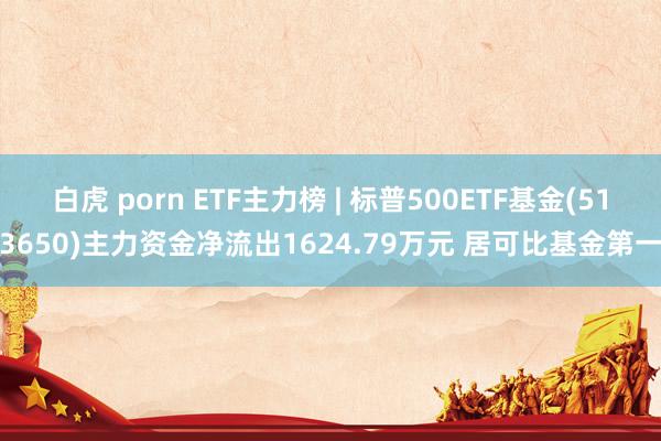 白虎 porn ETF主力榜 | 标普500ETF基金(513650)主力资金净流出1624.79万元 居可比基金第一