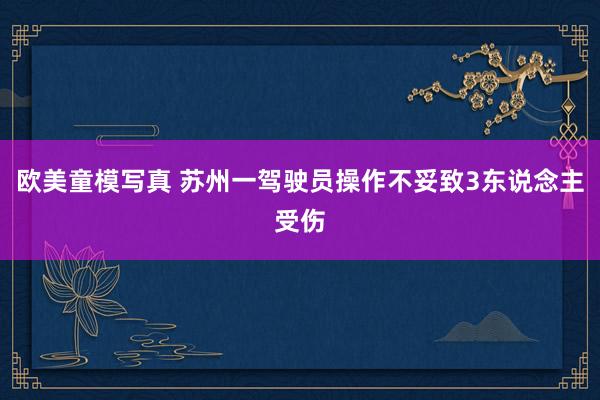 欧美童模写真 苏州一驾驶员操作不妥致3东说念主受伤