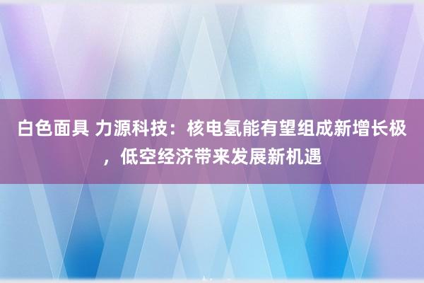 白色面具 力源科技：核电氢能有望组成新增长极，低空经济带来发展新机遇