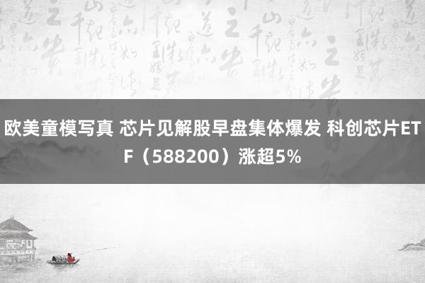 欧美童模写真 芯片见解股早盘集体爆发 科创芯片ETF（588200）涨超5%