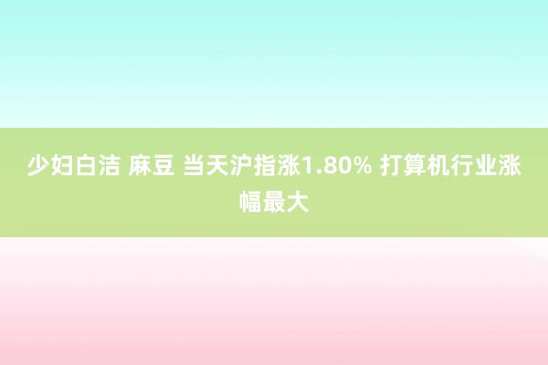 少妇白洁 麻豆 当天沪指涨1.80% 打算机行业涨幅最大