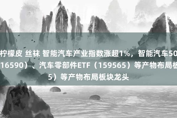 柠檬皮 丝袜 智能汽车产业指数涨超1%，智能汽车50ETF（516590）、汽车零部件ETF（159565）等产物布局板块龙头