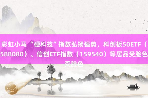 彩虹小马 “硬科技”指数弘扬强势，科创板50ETF（588080）、信创ETF指数（159540）等居品受脸色