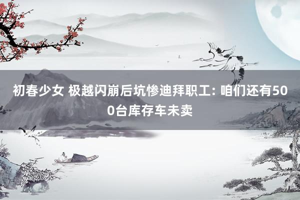 初春少女 极越闪崩后坑惨迪拜职工: 咱们还有500台库存车未卖