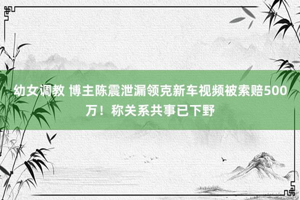 幼女调教 博主陈震泄漏领克新车视频被索赔500万！称关系共事已下野