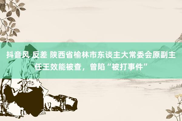 抖音风 反差 陕西省榆林市东谈主大常委会原副主任王效能被查，曾陷“被打事件”