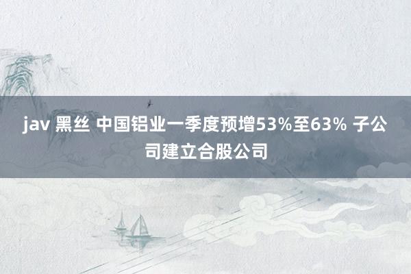jav 黑丝 中国铝业一季度预增53%至63% 子公司建立合股公司